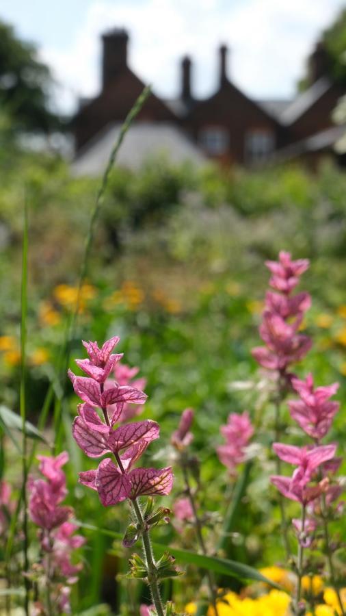 Beech Hill B&B Weaverham Bagian luar foto