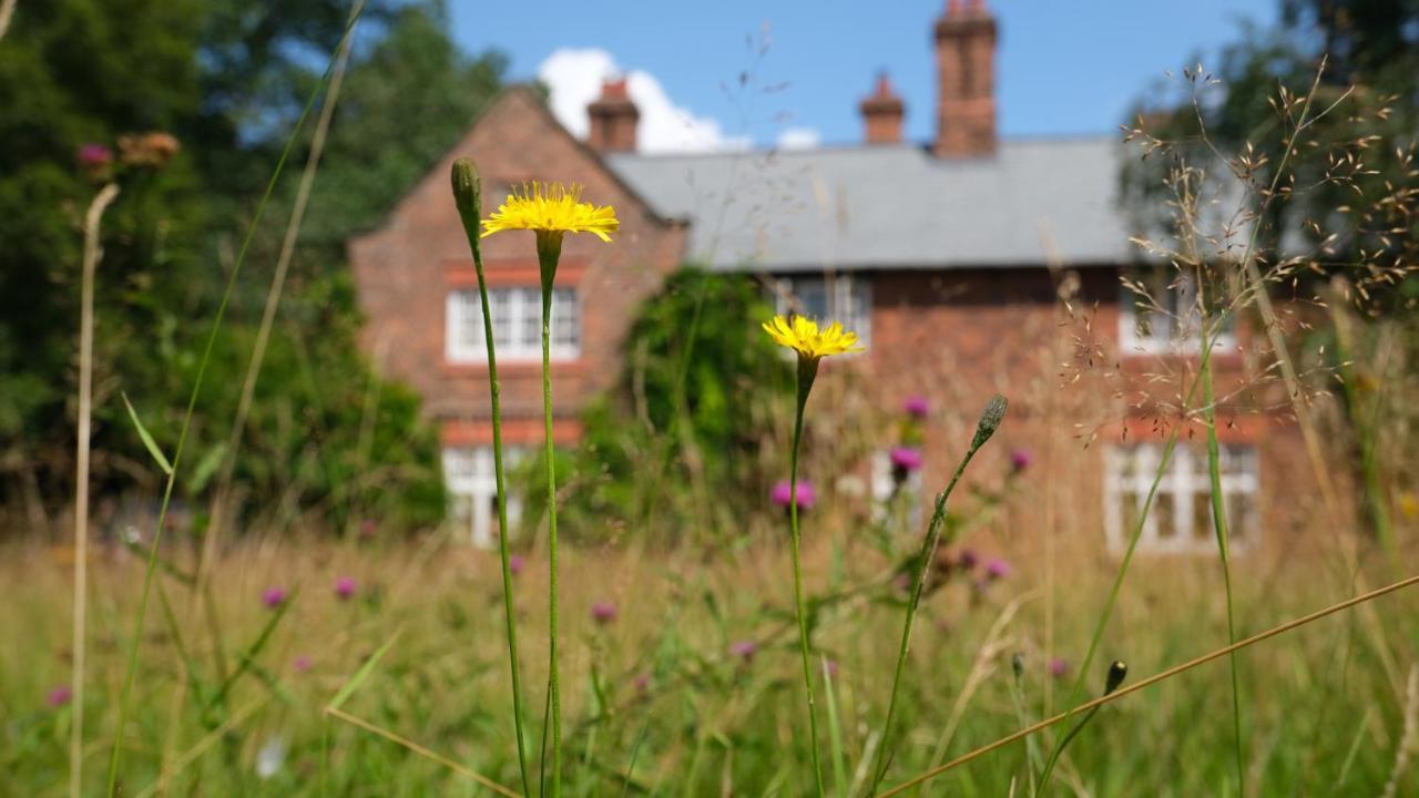 Beech Hill B&B Weaverham Bagian luar foto