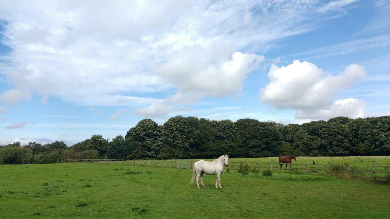 Beech Hill B&B Weaverham Bagian luar foto